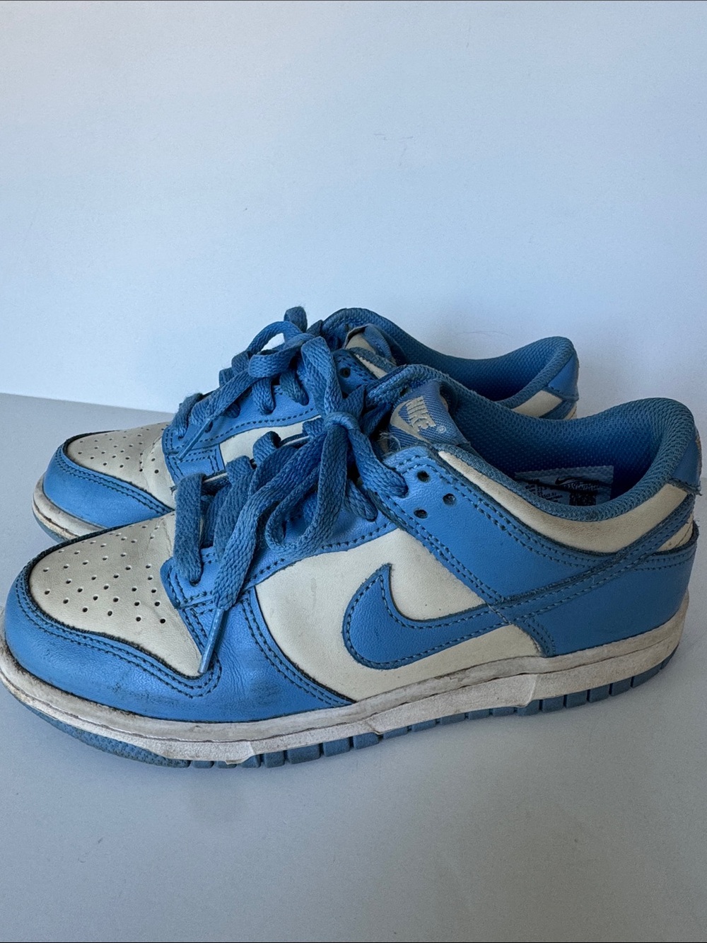 Nike Dunk Youth Low-Top Sneakers Blue and White Size Big Kid 4.5Y
